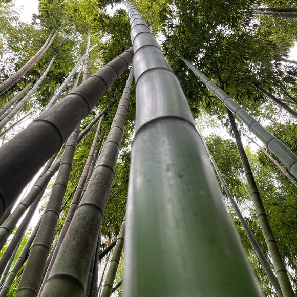 Meet your Posher, Peter - Picture 8 of 12